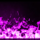 Recuperador Elétrico a Vapor de água AWP 100 Prestige - Afire